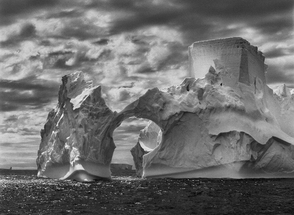 Thumbnail - Sebastiao Salgado. Genesis. Lélia Wanick Salgado