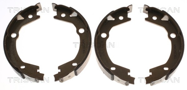 Bremsbackensatz Feststellbremse Triscan 8100 43020 FüR Ssangyong KIA Hyundai JM-image