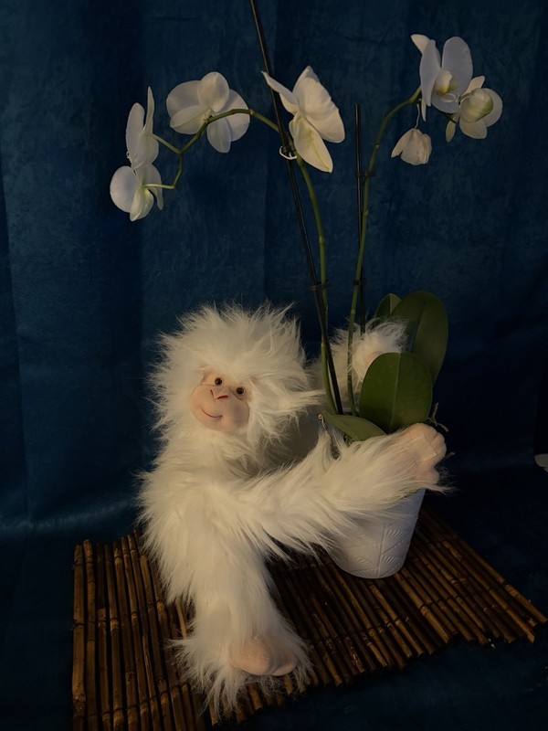 Vintage GANZ White Fluffy Faux Fur Monkey Plush 1997 Long Arms, Tan Face