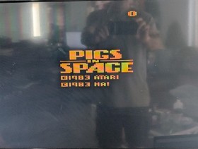PIGS IN SPACE + DEADLY DUCK - Atari 2600 2600+ with Manuals - Fully Tested!