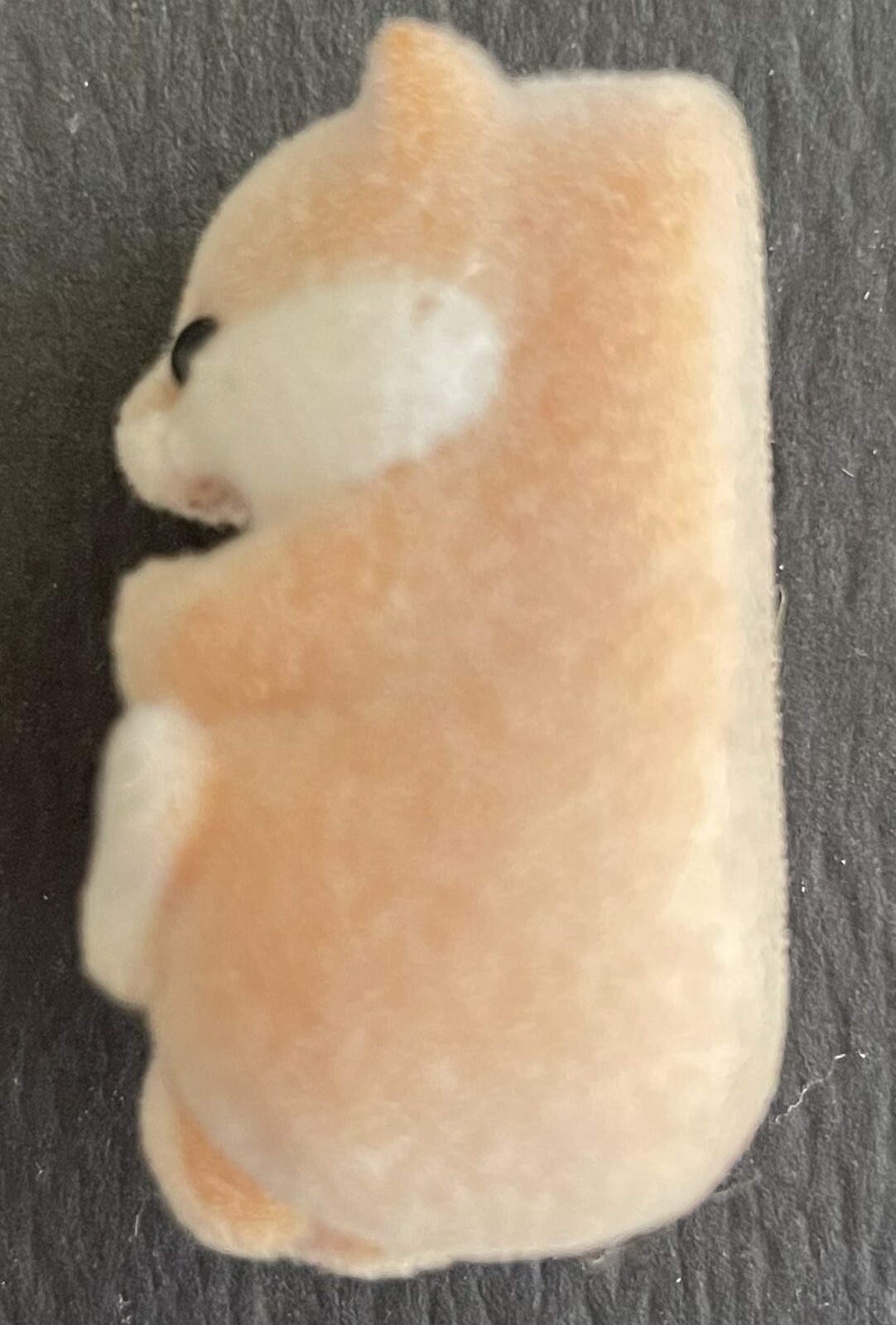 Picture 4 of 6