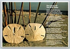 Postcard The Legend of the Sand Dollar Q6