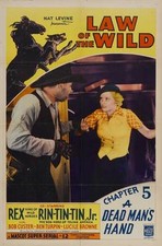 Póster de la película LA LEY DE LO SALVAJE 27x40 D Rex Rin Tin Tin Jr. Ben Turpin Richard