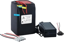 48V 30Ah Lithium Lifepo4 Battery Pack for EBike Scooter 1000W Motor 5A Charger