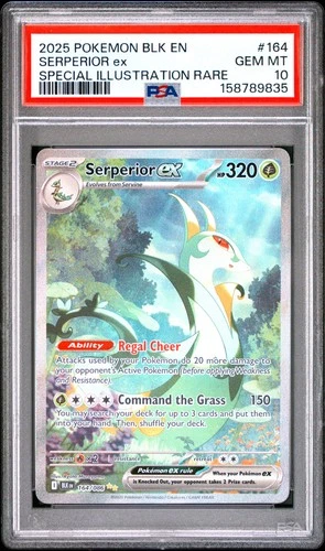 POKEMON SERPERIOR EX 164/086 SPECIAL ILLUSTRATION RARE BLACK BOLT 2025 PSA 10