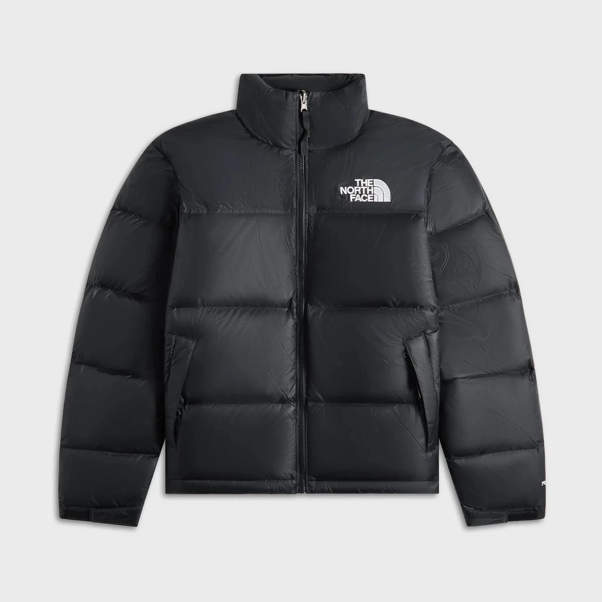 The North Face Retro Coats, Jackets & Vests for Men for Sale