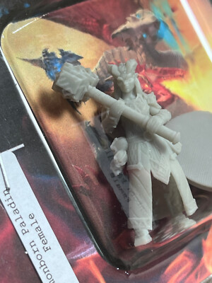 DEMONBORN PALADIN FEMALE--TABLE TOP ROLE PLAYING-BOARD GAMES- D&D  ..ETC