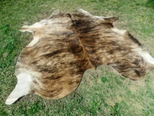 MAKE OFFER ! Large BRINDLE CARAMEL Cowhide Rug natural Cowhides Cow Hide Skin RC