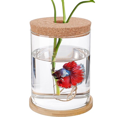 FW20 Supreme Fish Bowl Clear 1.1-gallon glass embossed logo