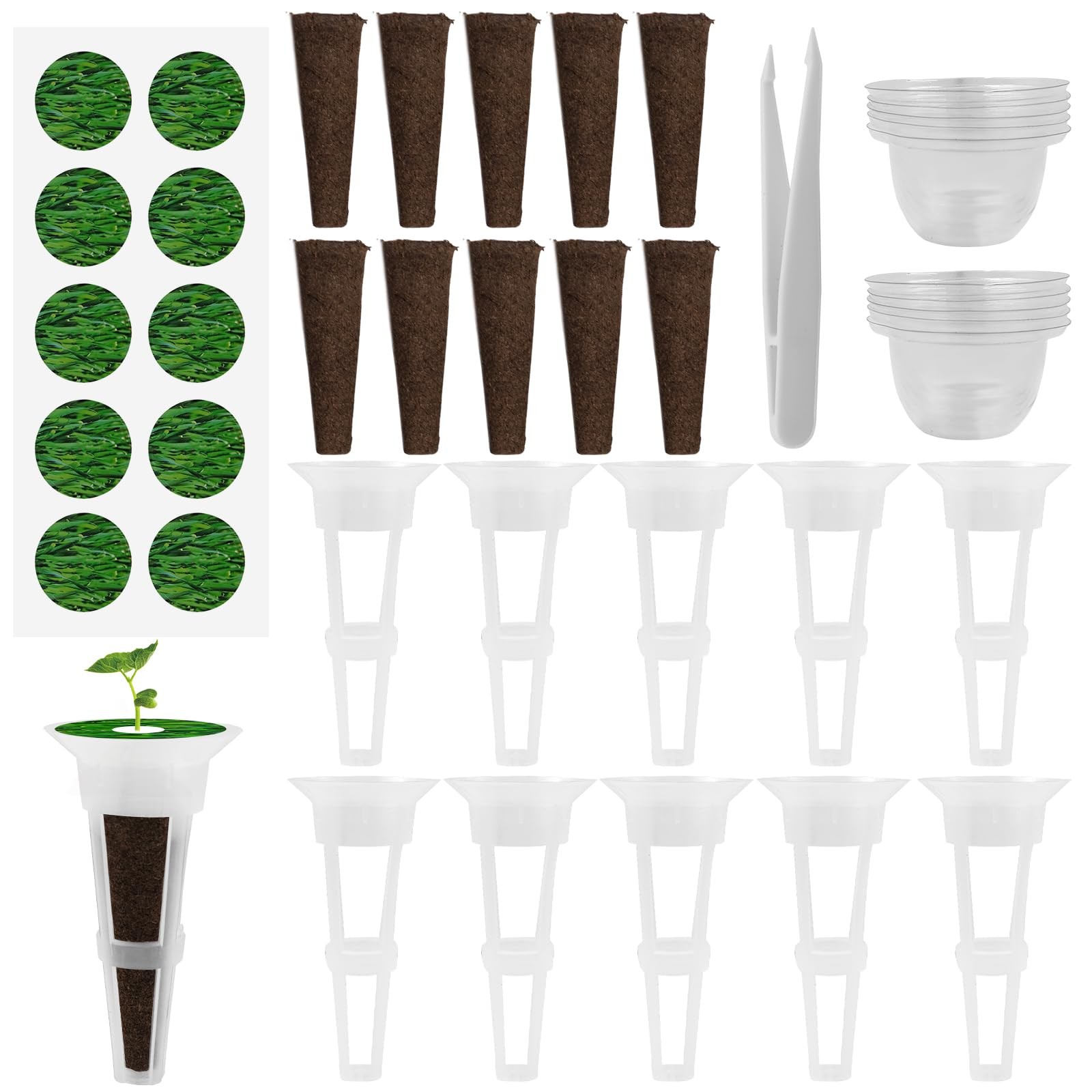 Éponge de culture hydroponique x50 pour kit de démarrage en mousse biodégradable