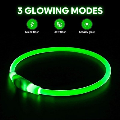 Teddy Run USB Rechargeable LED Dog Collar - Light Up Adjustable Pet Collar With