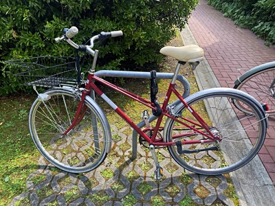 Ortler City Bike rot/grau mit Korb, Gepäckträger, Cruiser-Lenker, Ständer - Bild 1 von 4