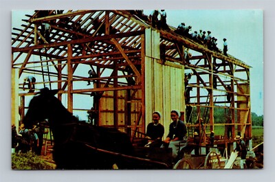 Two Amish Girls Horse & Cart - Barn Raising Pennsylvania Dutch Country Postcard