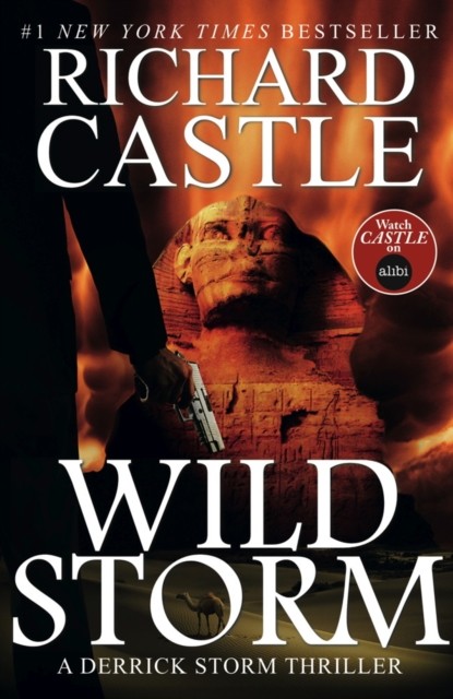 Wild Storm A Derrick Storm Novel by Richard Castle (Paperback Book)