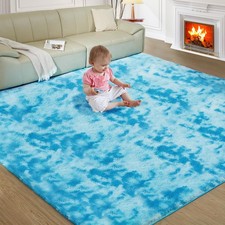 Ultra Soft Rug for Living Room, 5X8 Fluffy Shag Area Rug for Bedroom, Modern Sha