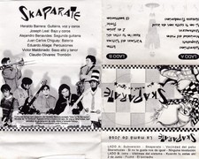 USED: Skaparate - Skaparate Cass, Album - grading in description