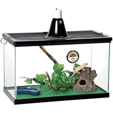 Luxurious 10 Gallon Pet Terrarium Starter Kit with Essential Heating  Lighting