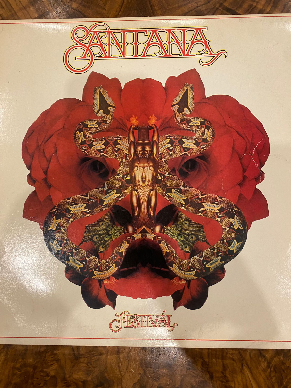 Classic vinyl records for music lovers and collectors-image