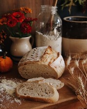 SOURDOUGH STARTER DEHYDRATED NAPLES ITALY ITALIAN TASTY - 15 Gram Bag