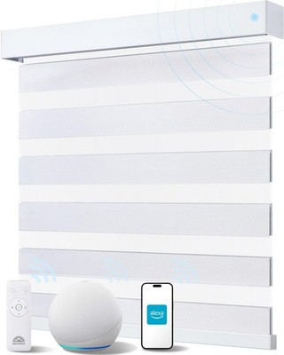 Smart Zebra Blinds for Windows, Alexa Motorized Blinds with Remote Control,