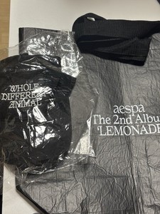 Aespa Bag | eBay