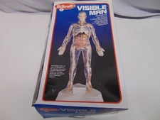 1999 Skilcraft Visible Man Anatomy Model Kit #74622 outer skin organs skeleton