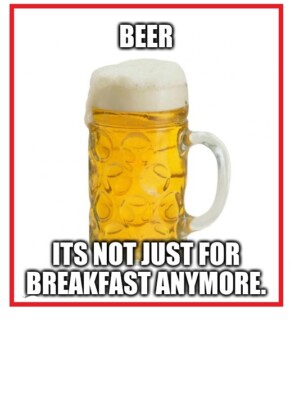 741 - Funny Beer Drinking Meme Fridge Refrigerator Magnet | eBay