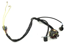 06 Suzuki RMZ250 RMZ 250 Engine Ignition Stator Generator Alternator 3-M