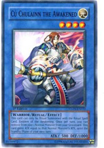 Cu Chulainn the Awakened - STON-EN033 - Common - Unlimited Edition x3 - Near Min