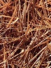 BEST SMOKER FUEL, HONEY BEE KEEPING BEES HIVE SMOKE NATURAL PINE NEEDLES