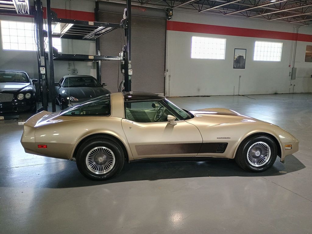 1982 Silver Beige (Champagne) Metallic Chevrolet Corvette   | C3 Corvette Photo 7