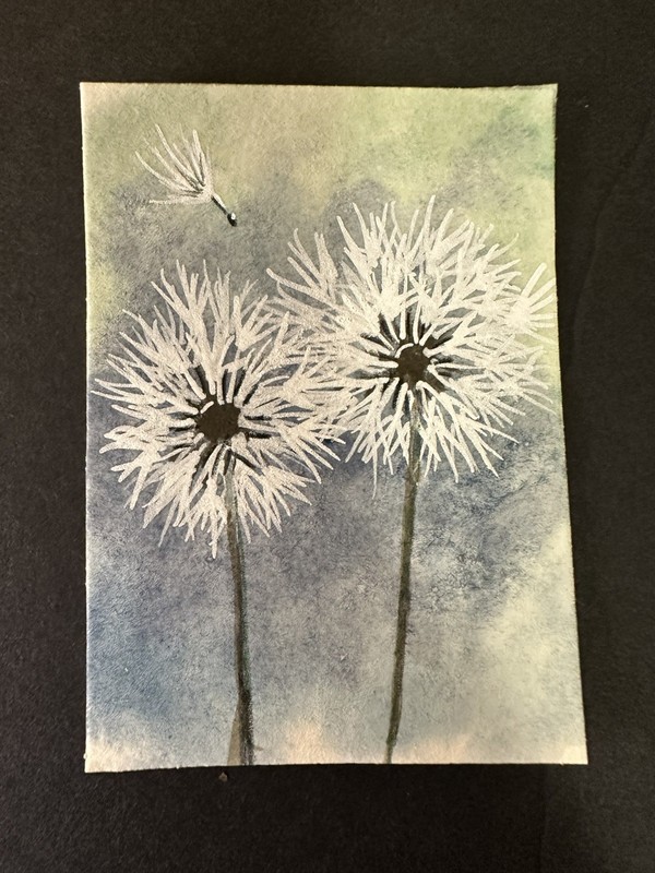 ACEO Artist Original ATC Mini Art Card Watercolor Dandelions Flowers WendyMi34