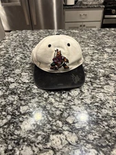 Vintage Phoenix Coyotes Wool Drew Pearson NHL Snap Back Rare Hat