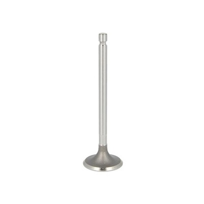 FITS PARADOWSCY PURS011 INTAKE VALVE OE REPLACEMENT