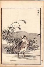 1884 Antique Meiji Kono Bairei Woodblock Print: Wading bird among reeds