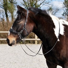 Sidepull Bitless Bridle and Reins (Cob)