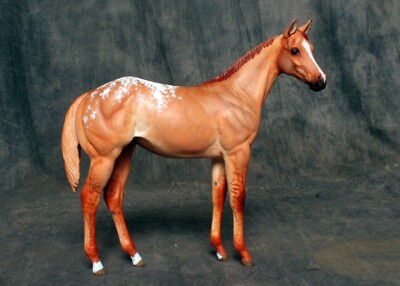 Williams Still Dreamin Resin Appaloosa Filly