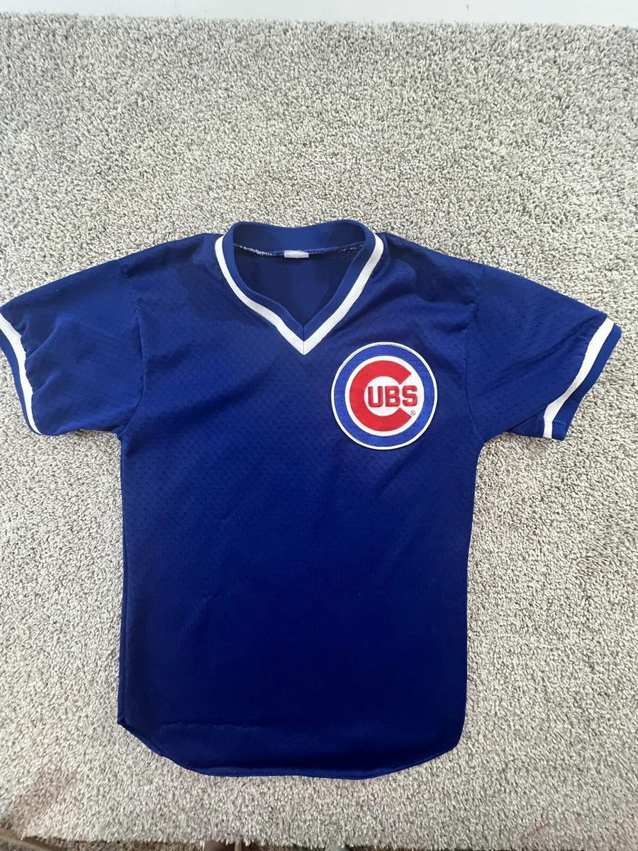 Vintage Chicago Cubs 70s 80s Jersey Adult Small Blue Sewn USA