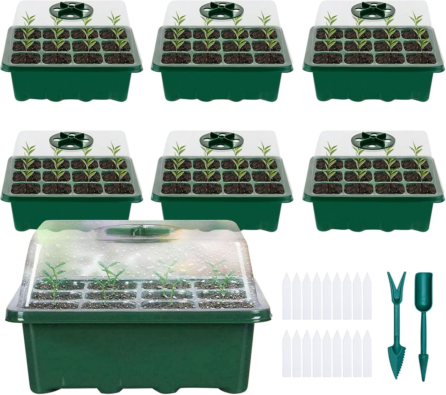 Seed Trays for Seedlings, 6Pack Seed Propagator Tray Seed Starter Tray with Lid