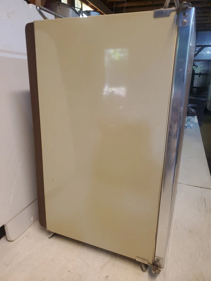 ¡Clásico vintage! en el estilo de una mini nevera resistente Coleman convertible refrigerador Foto 3 de 4