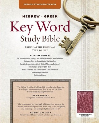 The Hebrew-Greek Key Word Study Bible