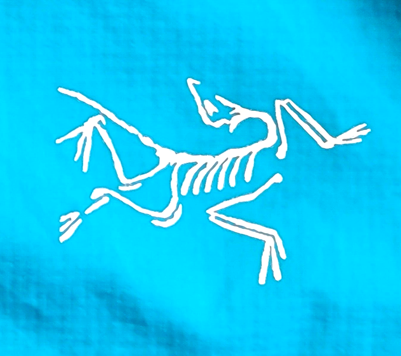 Giacca da corsa Arc'teryx ' Visio FL ' Horizon Sky Premium outdoor donna RARA