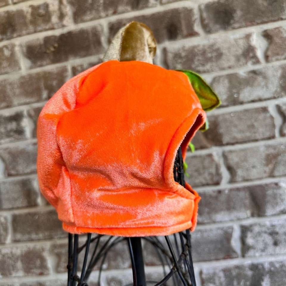 NWOT Halloween Costume Pumpkin Hat Cap Suit Yourself Baby Child Dog