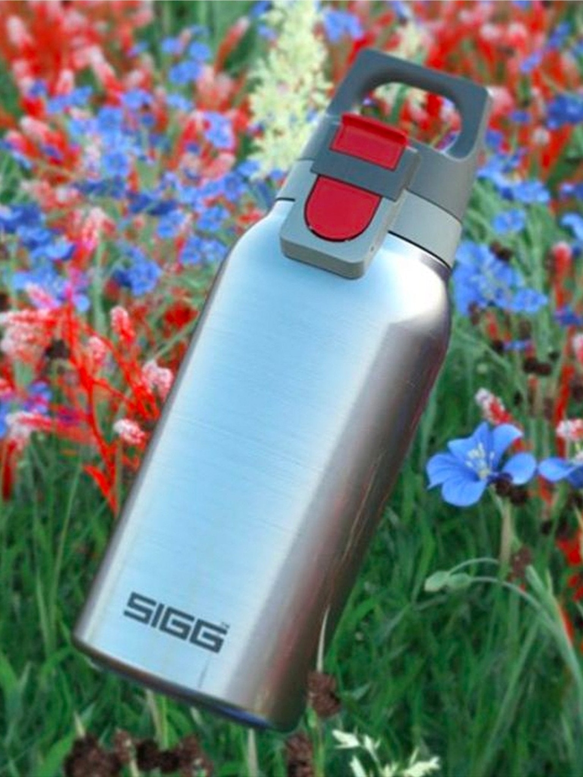 SIGG Thermo Flask Hot & Cold ONE Brushed 0.3 Litre eBay