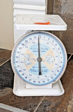 Vintage American Family Nursery Scale
