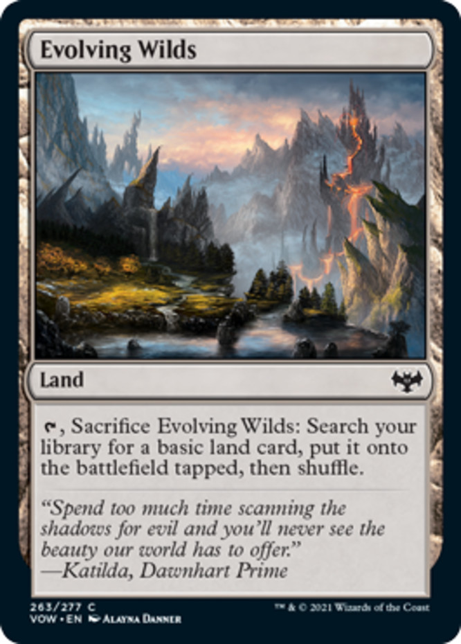 Evolving Wilds~263/277~NM~(VOW) - Innistrad Crimson Vow~MTG