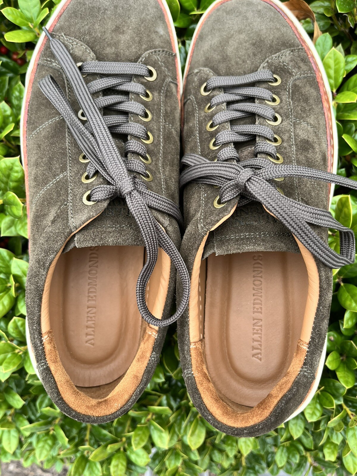 SAOLA Allen Edmonds "PORTER CITY" Sneakers Derby Casual Uomo 9 5 D Loden Scamosciato