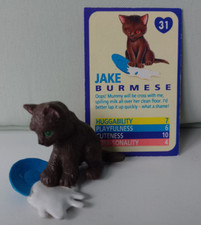 Vintage MEG Kitty in My Pocket No 31 'JAKE' Burmese  card
