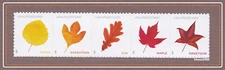 Scott #5966-69 Vibrant Leaves - Postcard Rate (Pane Strip of 5) 2025 Mint NH