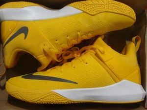 nike zoom shift tb promo